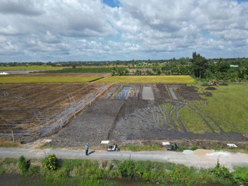 Quá Ngộp, 142m2 đất thổ đường nhựa An Hoà ,chỉ 370tr