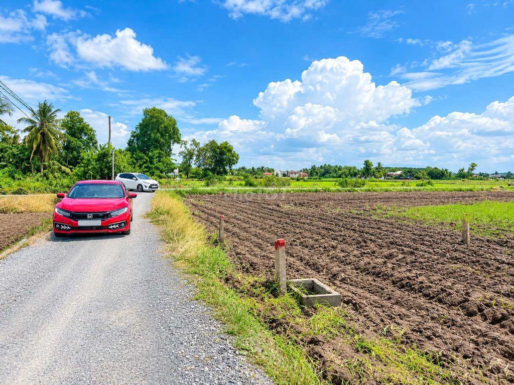 Quá ngộp, 141m2 đất thổ cư đường nhựa An Hoà, 350tr