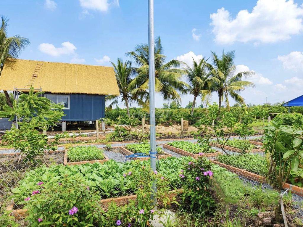 Siêu phẩm, nhà vườn 540m2 View Kênh cực đẹp, chỉ 950tr