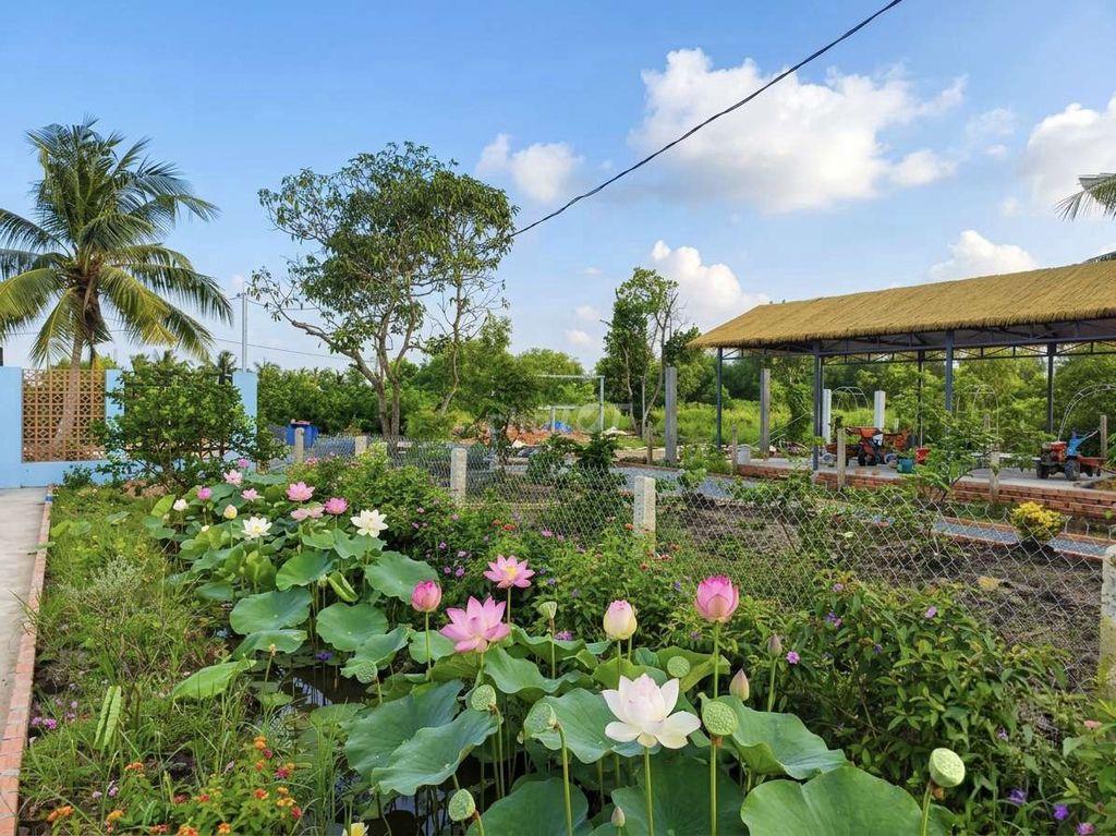Siêu phẩm, nhà vườn 540m2 View Kênh cực đẹp, chỉ 950tr