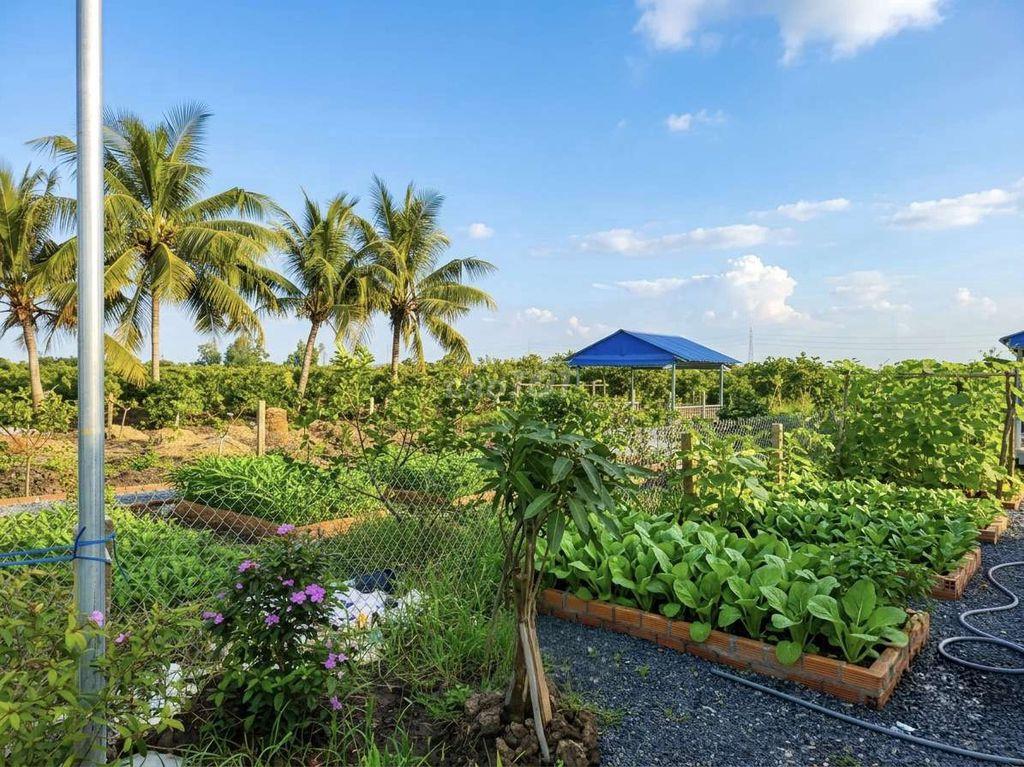 Siêu phẩm, nhà vườn 540m2 View Kênh cực đẹp, chỉ 950tr