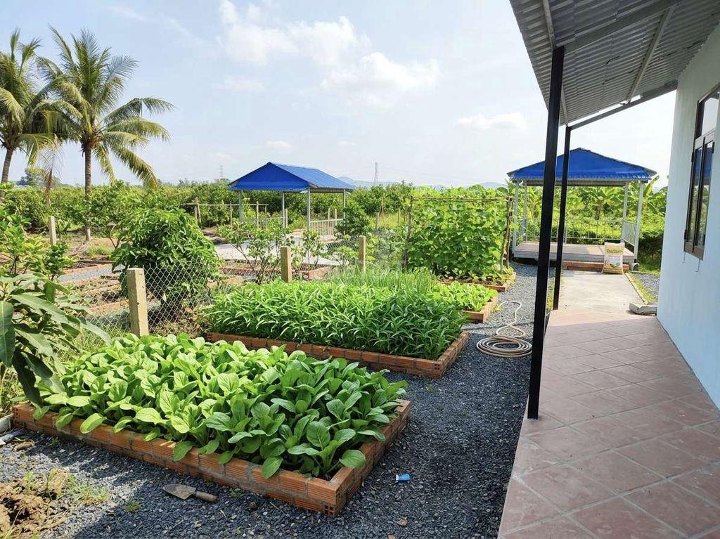 Siêu phẩm, nhà vườn 540m2 View Kênh cực đẹp, chỉ 950tr