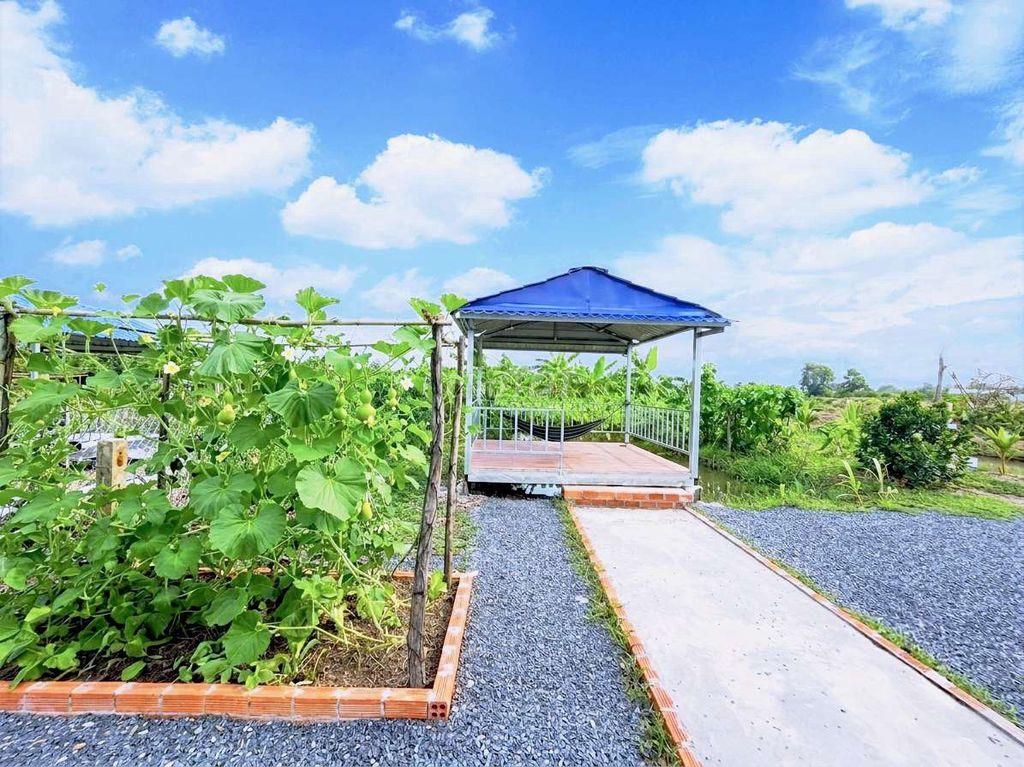 Siêu phẩm, nhà vườn 540m2 View Kênh cực đẹp, chỉ 950tr