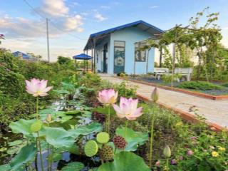 Siêu phẩm, nhà vườn 540m2 View Kênh cực đẹp, chỉ 950tr
