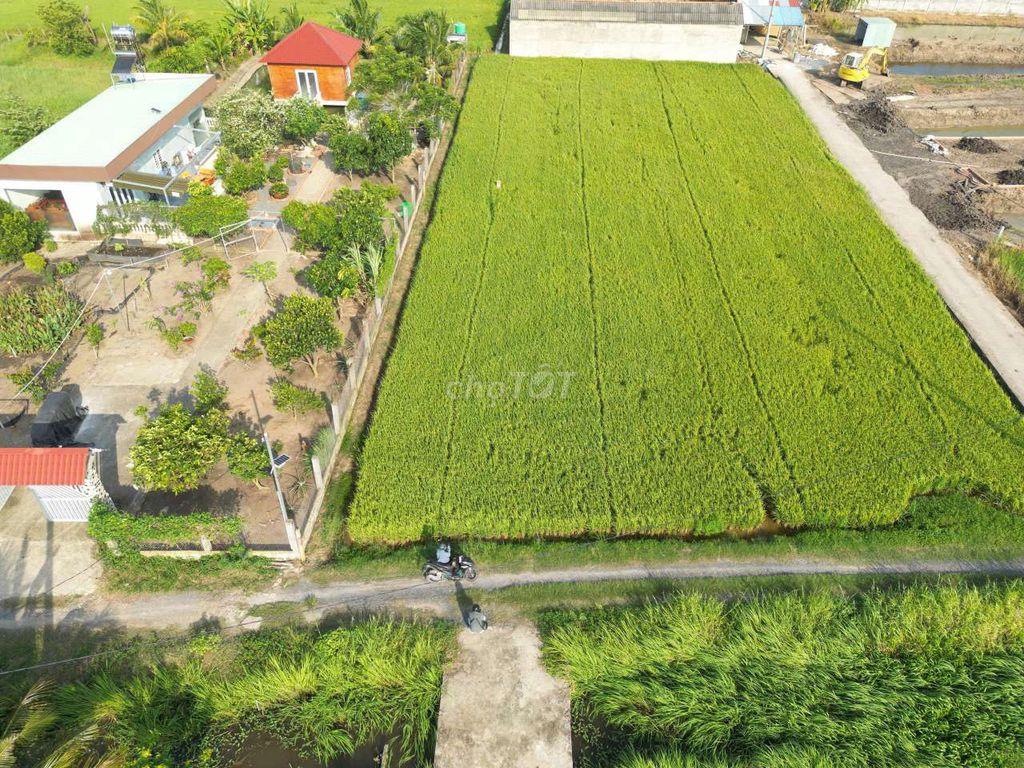 nền thổ cư 149m2 xây trọ sát KCN chỉ 549tr