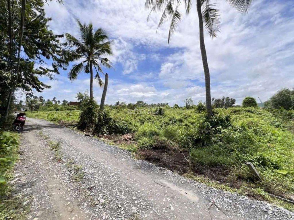 3077m2 ĐỐI DIÊN KCN TÂN ĐỨC 