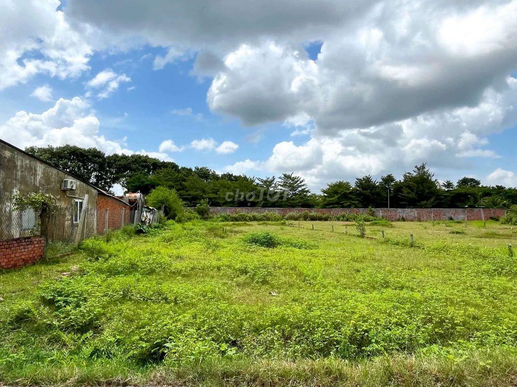 XÂY KHO XƯỞNG ĐỨC HOÀ 
