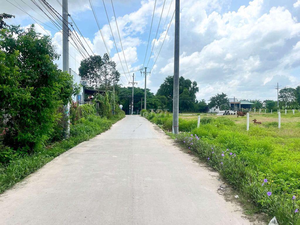 XÂY KHO XƯỞNG ĐỨC HOÀ 