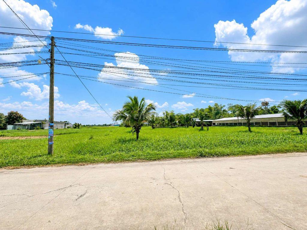 bê tông 5mét Chùa PHÁP TUYỀN ĐỨC HOÀ