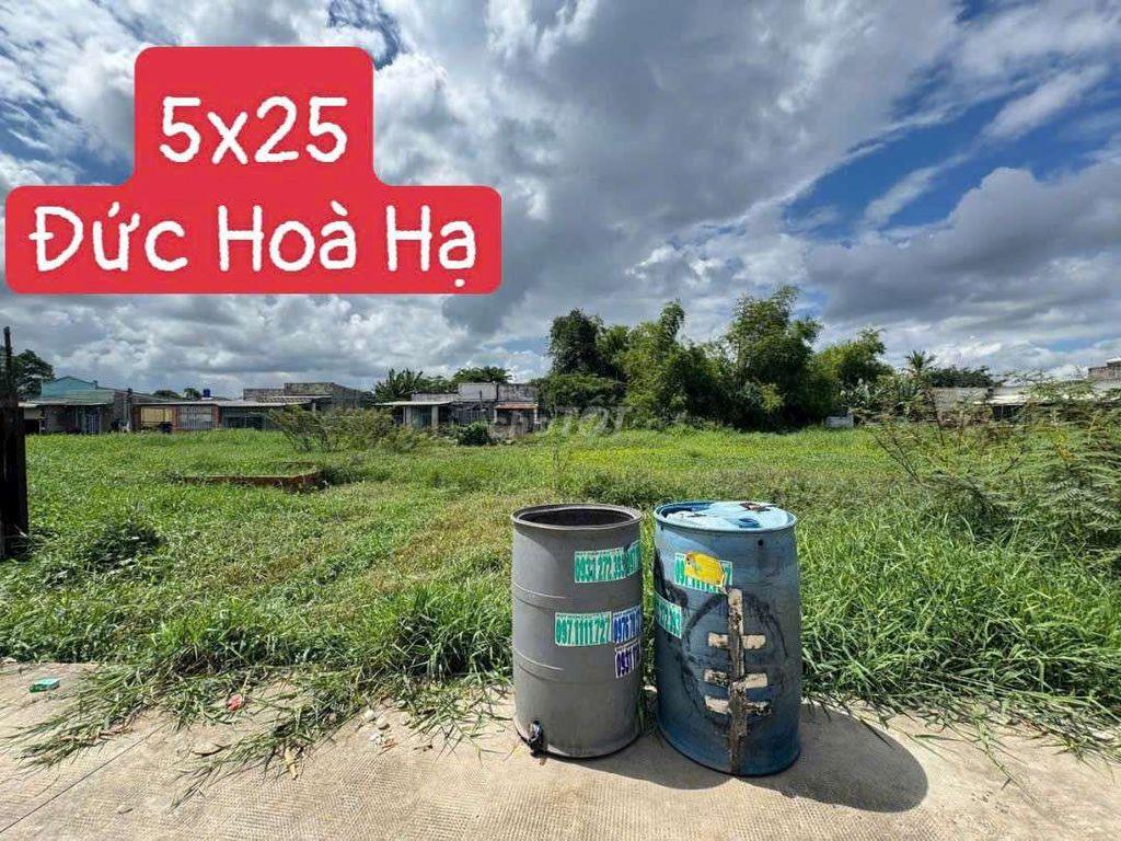 Bán Đất Bê tông hoa khế Đức Hoà Hạ