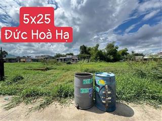 Bán Đất Bê tông hoa khế Đức Hoà Hạ