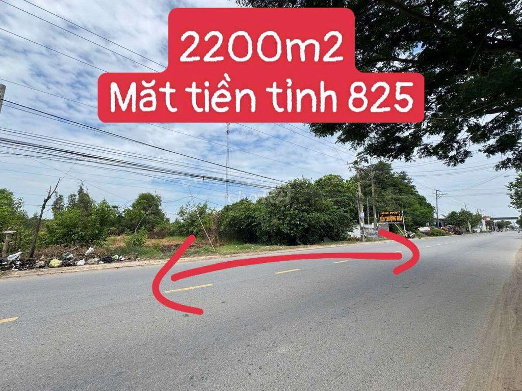 2200m2 MĂT TIỀN TỈNH LÔ 825 XÂY KHO XƯỞNG 