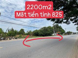 2200m2 MĂT TIỀN TỈNH LÔ 825 XÂY KHO XƯỞNG 
