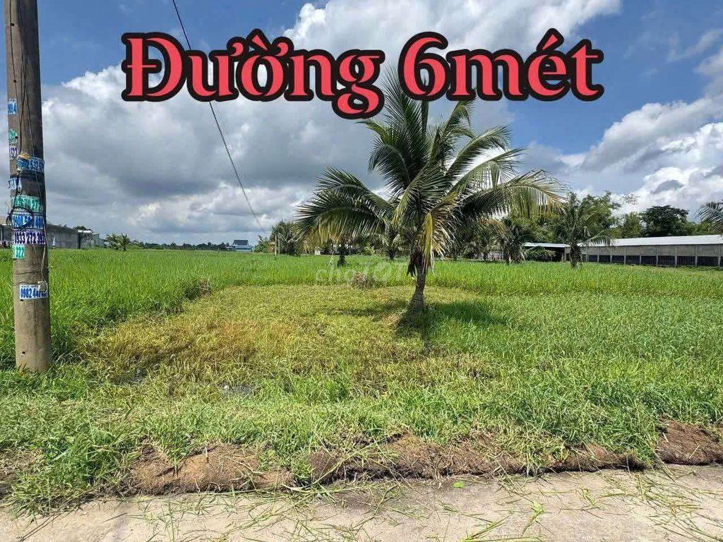 ĐẤT GẦN 823d gần CÔNG VIÊN VÕ VĂN TẦN
