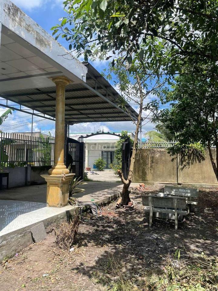 420m2 Full Thổ NHÀ VƯỜN ĐỨC HOÀ ĐÔNG 