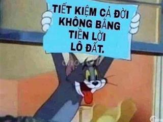 Đất thổ Cư Giáp Q8- Hợp cho đầu Tư lâu dài
