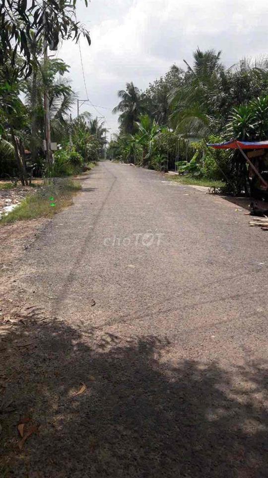 🏡 ĐẤT THỔ CƯ 7x57 (200m thổ cư)– SHR – Ô TÔ TỚI ĐẤT –CHÂU THÀNH, TÂY N