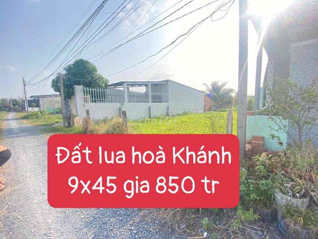 Đất Hoà Khánh Đông 9x45m giá 850tr