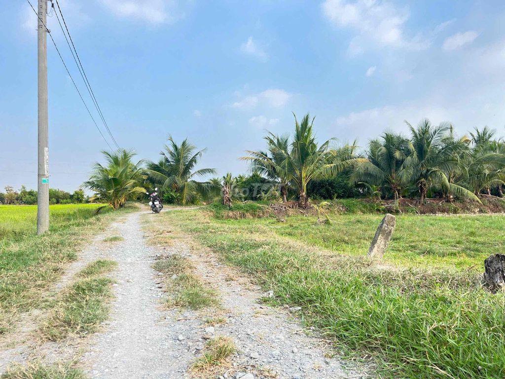 Đất Đức Hoà 6x32m giá 680tr full thổ cư