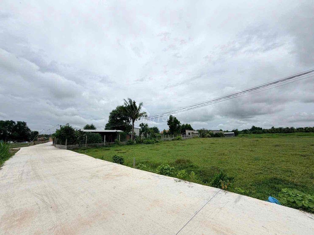 Đất Đức Hoà Sát Vin Tân Mỹ 5x30m giá 590tr