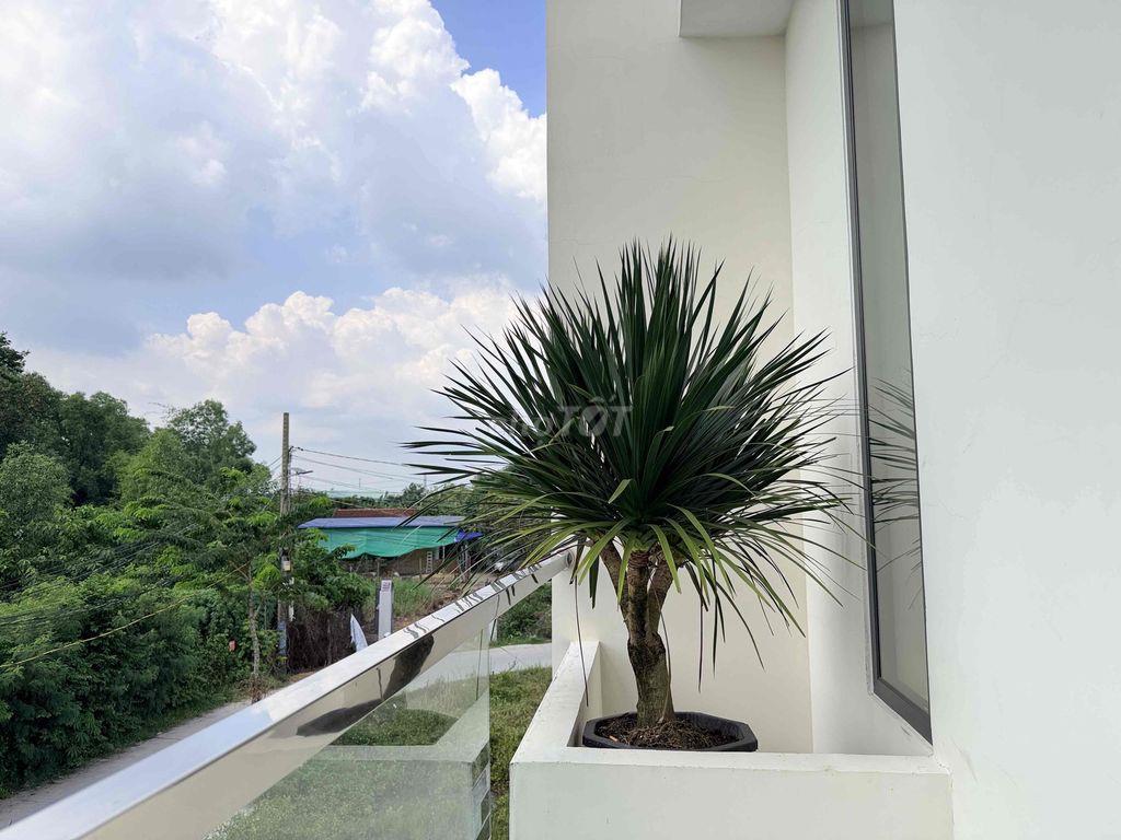 Nhà Đức Hoà Đông 5x28m có hồ bơi giá 2ty550 có hoàn công