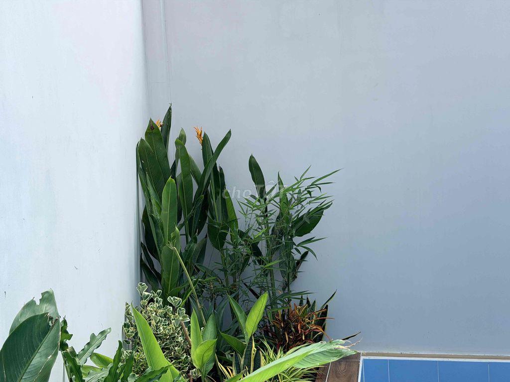 Nhà Đức Hoà Đông 5x28m có hồ bơi giá 2ty550 có hoàn công
