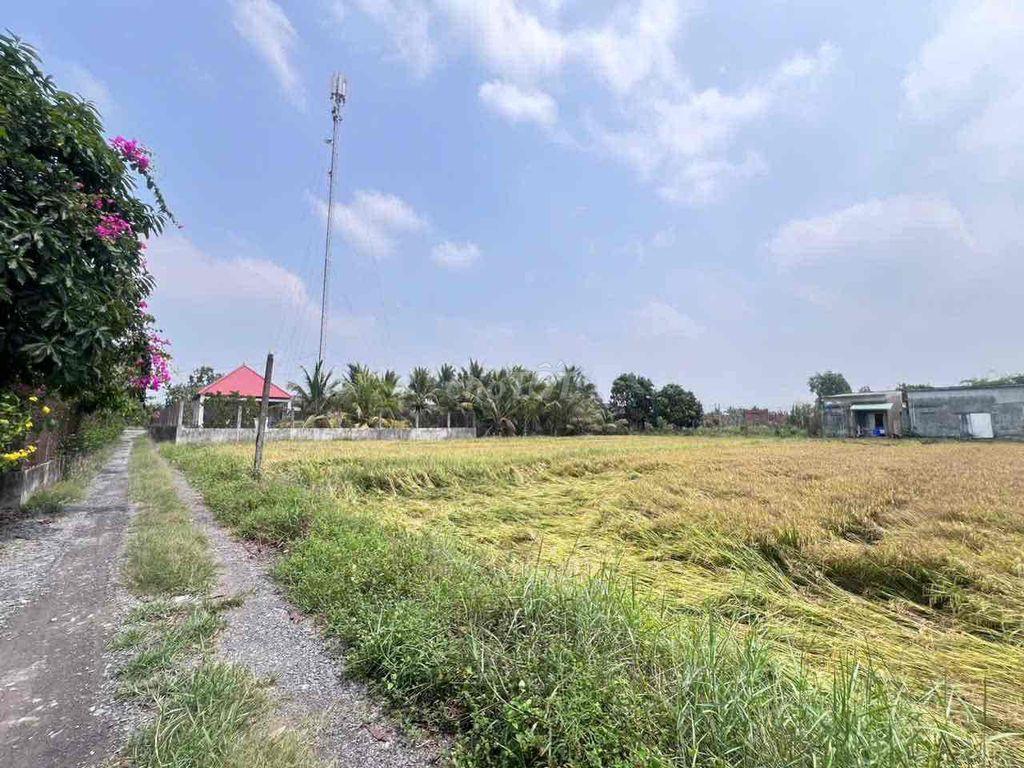 Đất hoà Khánh đông 5x41m giá 650tr