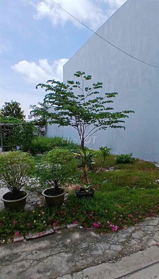 BÁN ĐẤT THỔ CƯ 100%