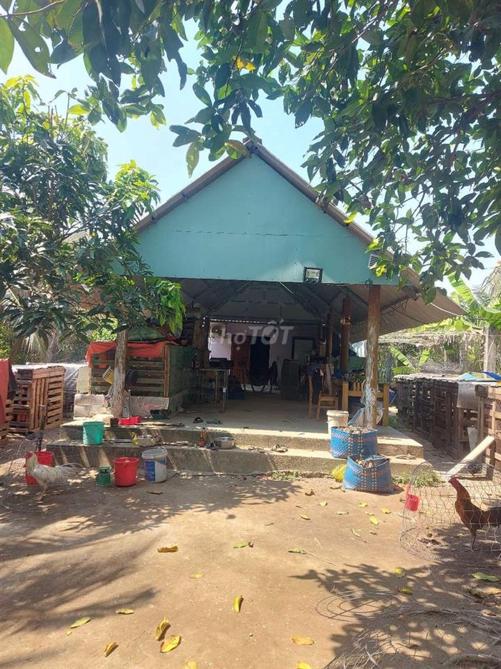 nhà vườn Thủ Thừa Long An