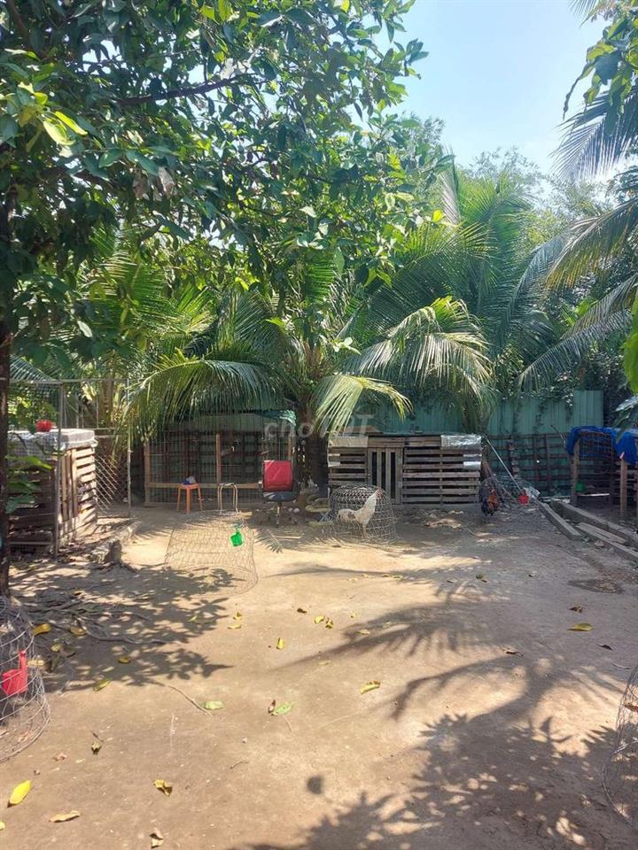 nhà vườn Thủ Thừa Long An
