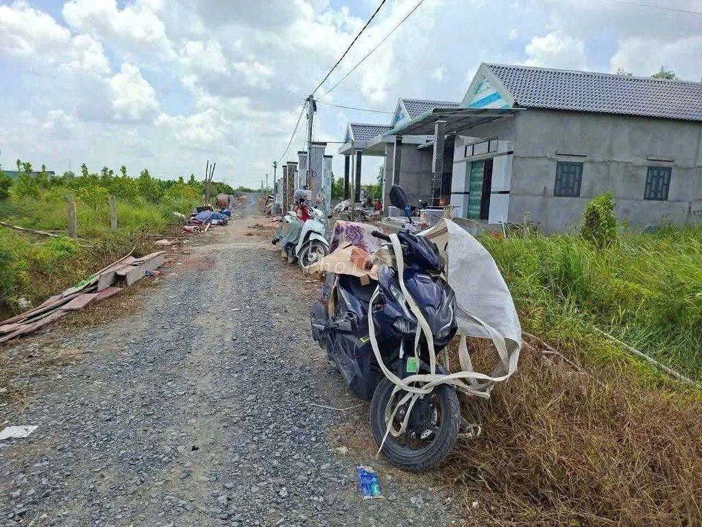 Đất 500 m có khoảng 40 gốc mít ruột đỏ