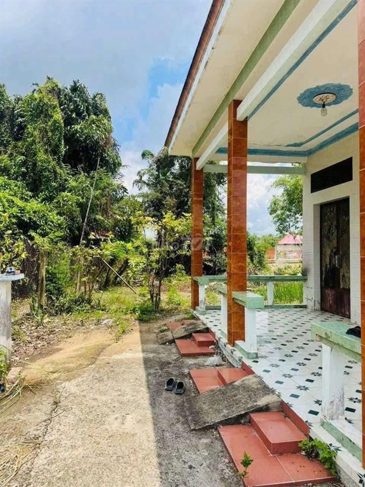 cần bán gấp căn nhà vườn 796m thô cu  đường xe hoi