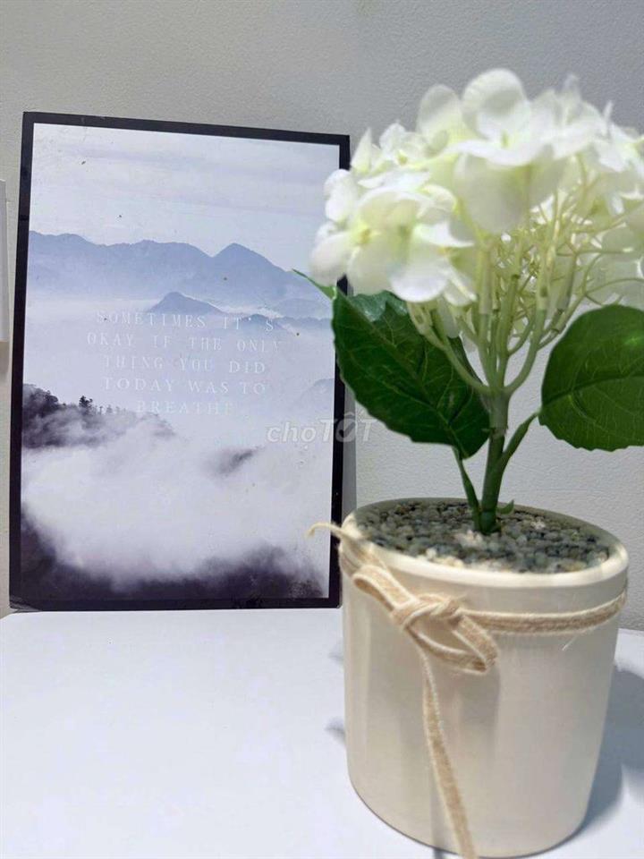CHO THUÊ CĂN HỘ 2PN - 2 WC