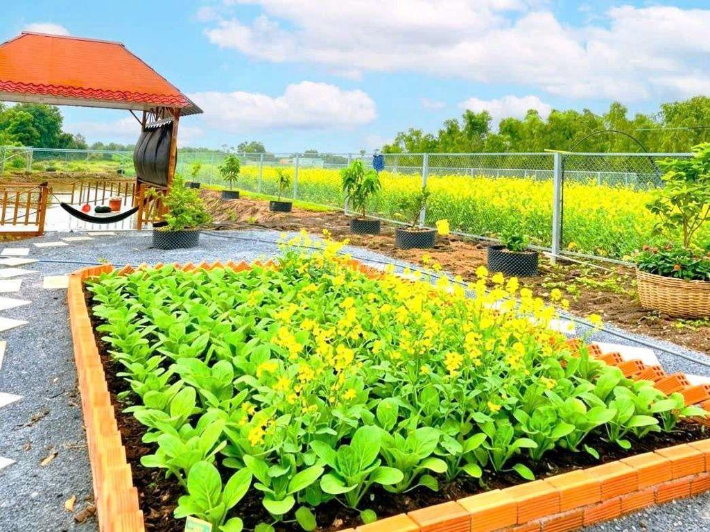 chỉ 1.4 tỷ sở hữu nhà vườn 1000m² đất view kênh
