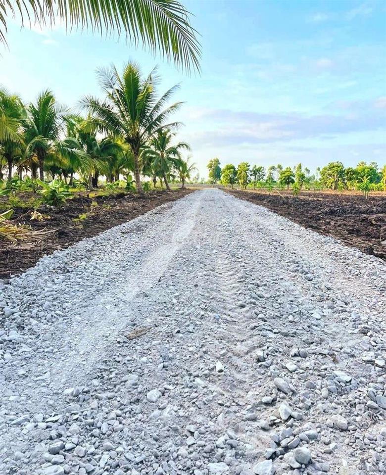 Quá ngộp, chỉ 440tr sở hữu 1000m² đất vườn xoài cực đẹp