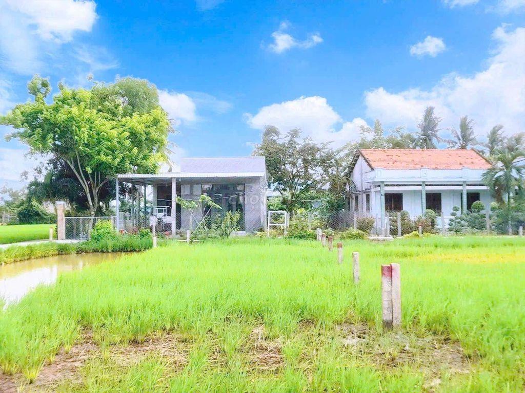 chỉ 400tr sở hữu 192m² đất thổ cư ngay chợ Tân Trụ