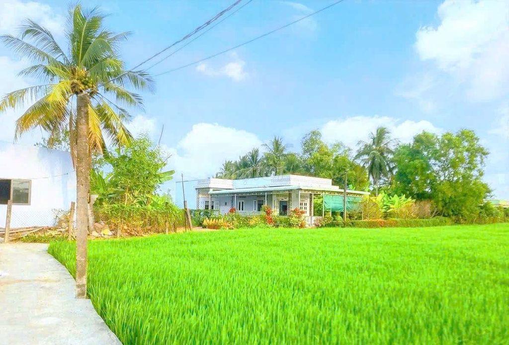 chỉ 400tr sở hữu 192m² đất thổ cư ngay chợ Tân Trụ