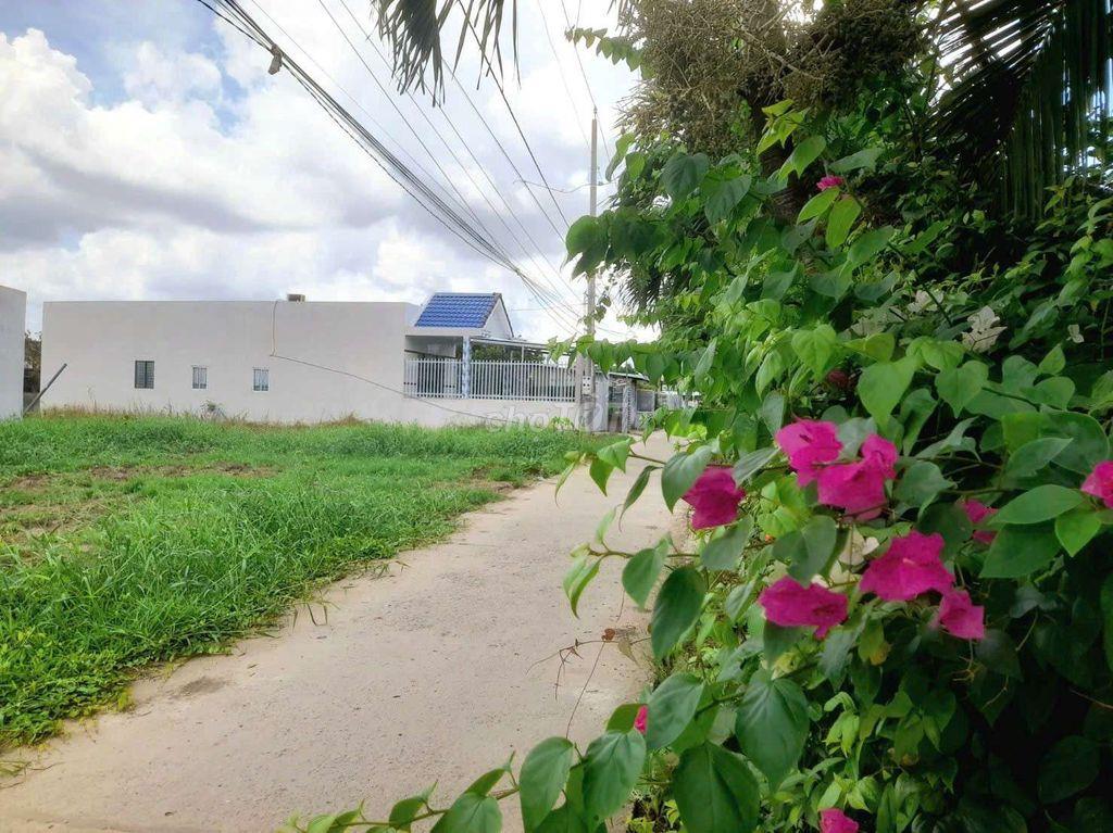 Siêu Phẩm, 260m² đất thổ góc 2 mặt tiền chỉ 950tr