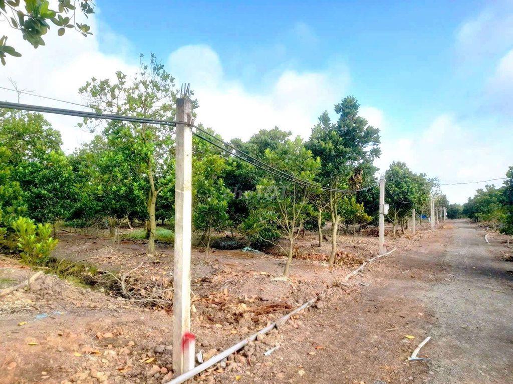 Hàng F0, chỉ 320tr sở hữu 500m² đất vườn view kênh