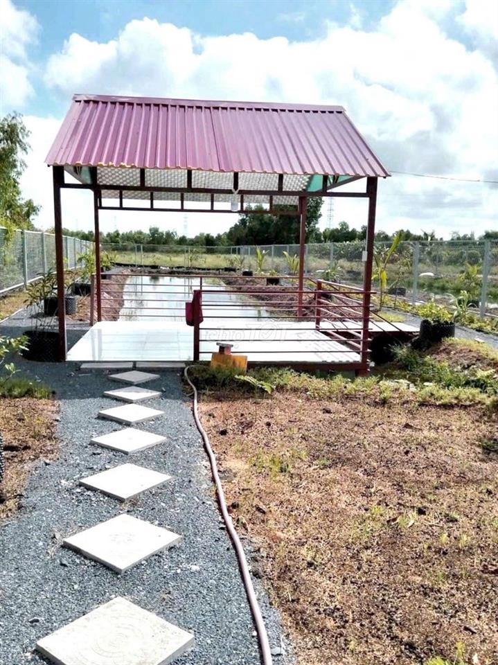 Nhà vườn 1000m² View Kênh cực đẹp, 1.4 tỷ