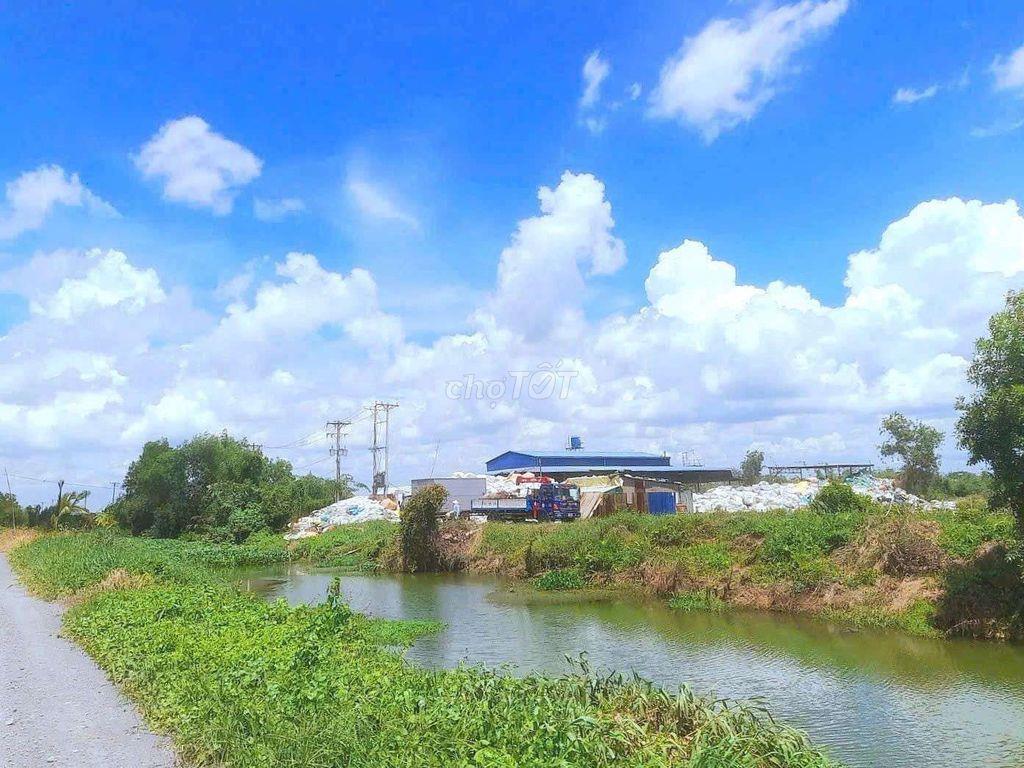 Quá ngộp. chỉ 440tr sở hữu vườn xoài 1000m² đất