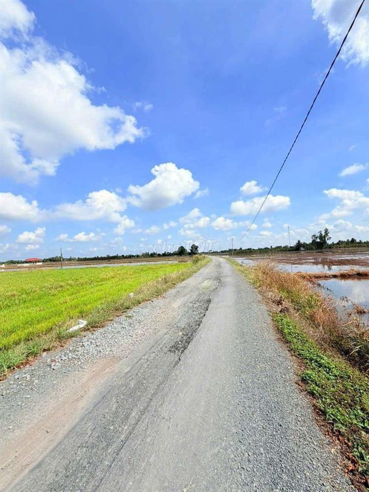 Hàng thơm, chỉ 400tr sở hưu 142m² đất thổ đường nhựa An Hòa