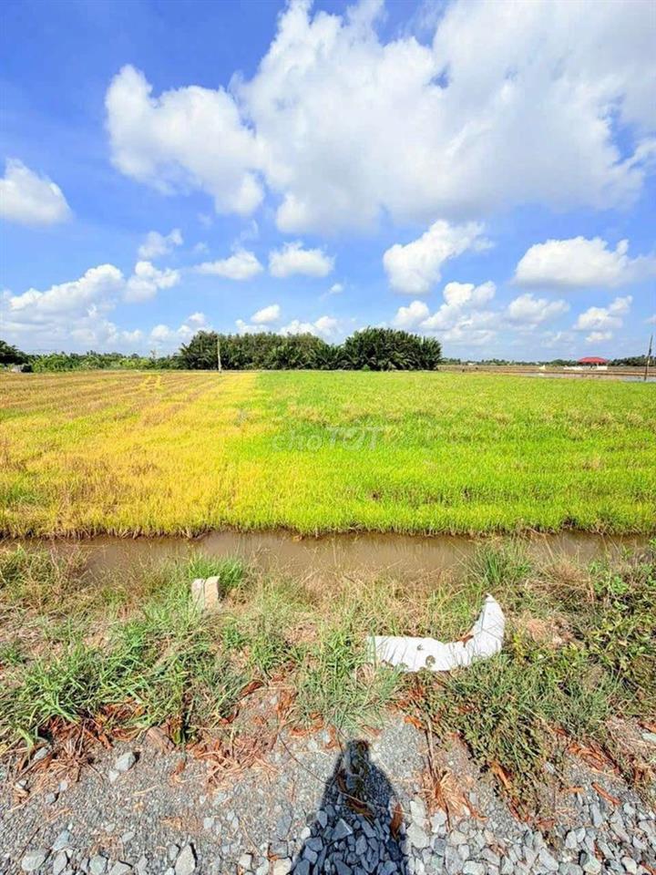Hàng thơm, chỉ 400tr sở hưu 142m² đất thổ đường nhựa An Hòa