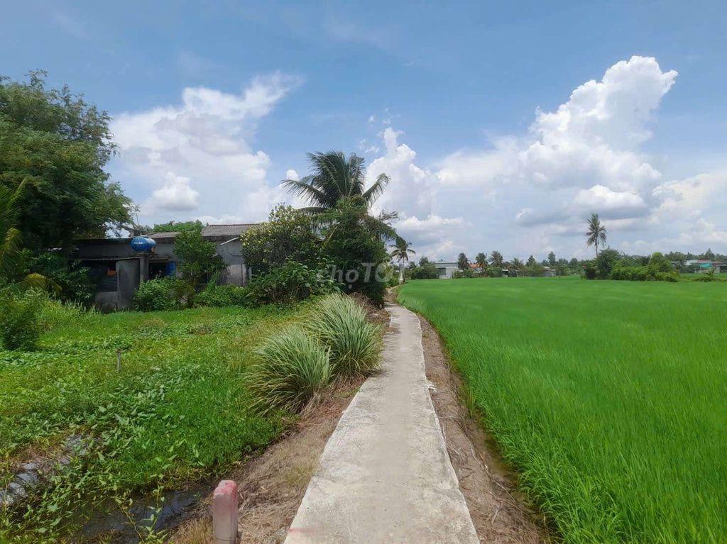 chỉ 239tr sở hữu 87m2 đất thổ cư Kdc Vàm Cỏ