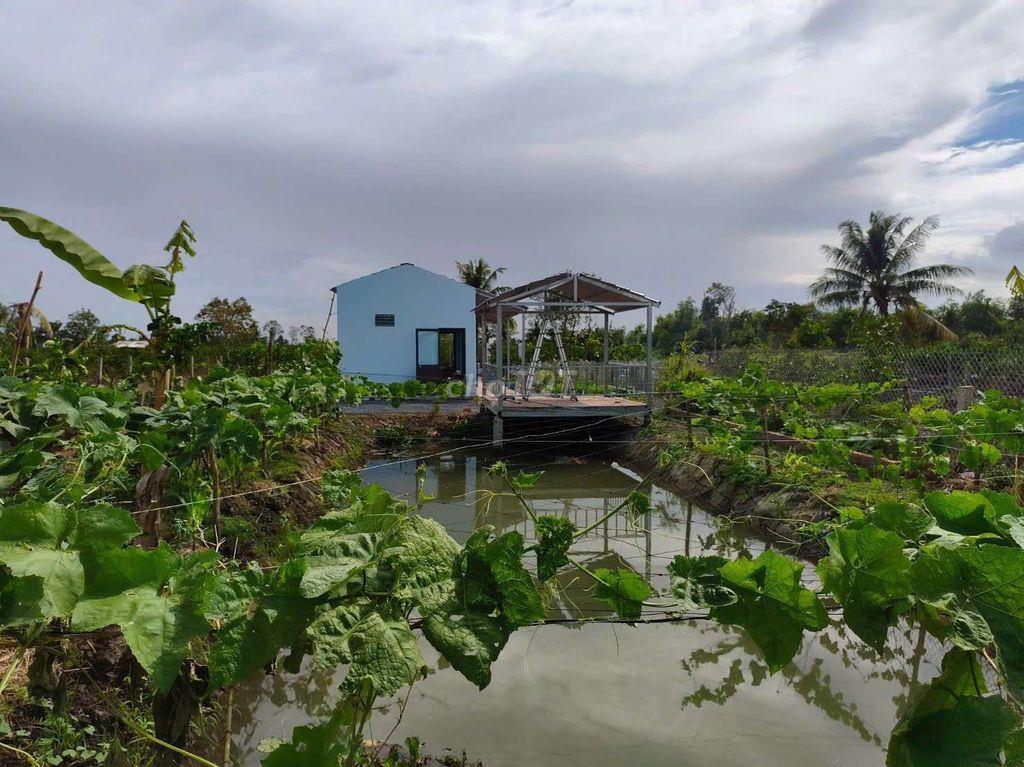 Hàng thơm, nhà vườn 540m² view kênh cực đẹp, 950Tr