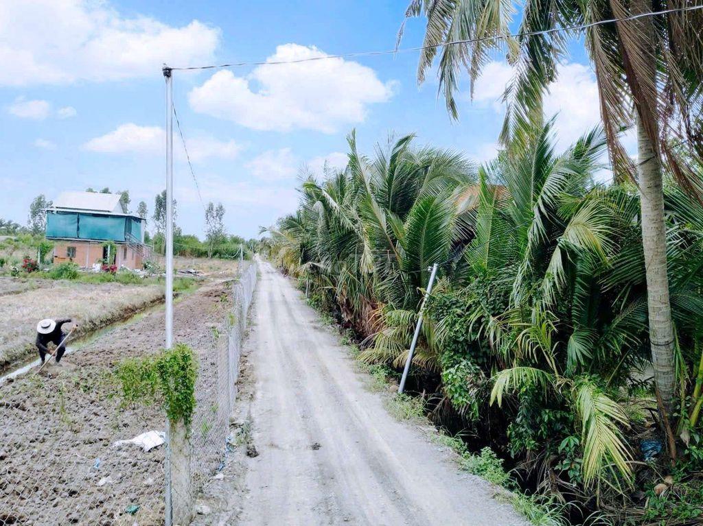 Hàng thơm, nhà vườn 540m² view kênh cực đẹp, 950Tr