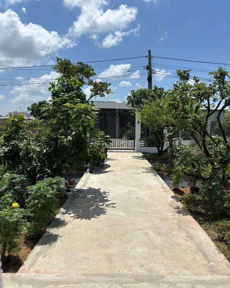 Hàng ngộp, chỉ 999tr sở hữu nhà vườn đường nhựa Nguyễn Văn Mỹ