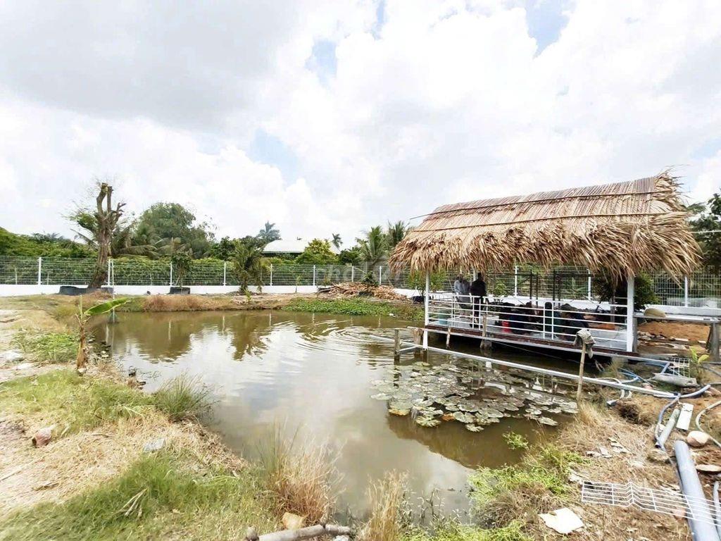 Quá đẹp, nhà vườn 1068m² đất full thổ View Kênh chỉ  3.5 tỷ