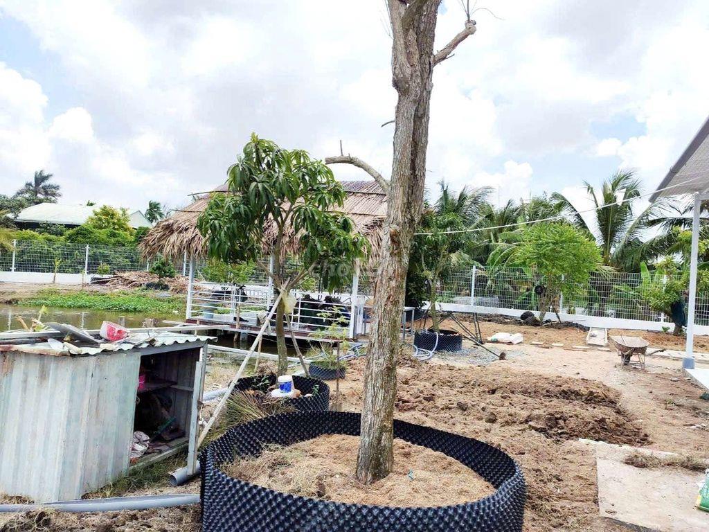 Quá đẹp, nhà vườn 1068m² đất full thổ View Kênh chỉ  3.5 tỷ