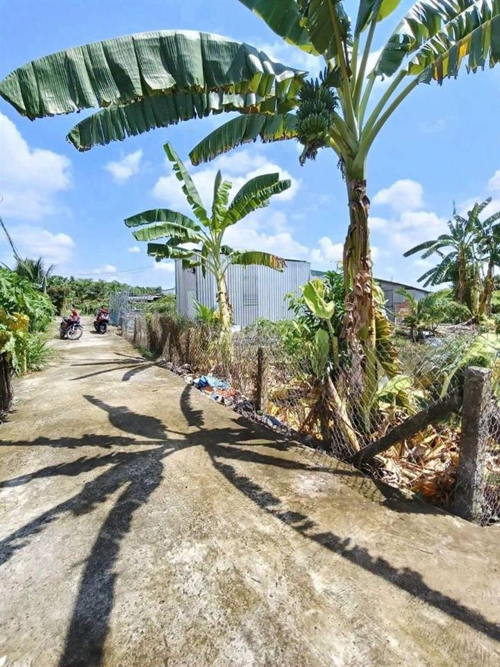 đất vườn có nhà tiền chế ở Long An Tây Ninh